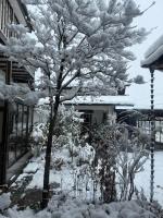 桜Sakura - Ferienwohnung Ōmachi