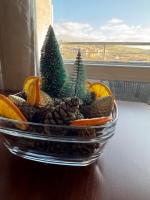 Лукс апартамент Базилика отделен вход - B&B Sandanski