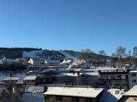 Modernes Boutique-Apartment in Willingen Das Naturtraum - Chambres d'hôtes Willingen