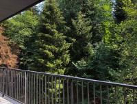 Kokhta Mitarbi Resort - Bed and Breakfast Bakuriani