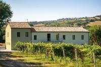 Italian Experience-Villa Zena - B&B Cupramontana