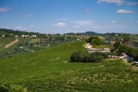 Italian Experience-Villa Zena - B&B Cupramontana