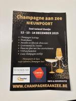 Genieten in Nieuwpoort - Ferienwohnung Nieuwpoort