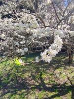 Medieval Village Lofts - B&B Canela