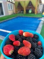 Halal Holidey Kuća za odmor - B&B Spahići