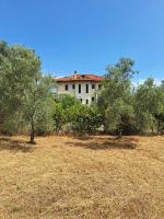 Villa Eleonas - B&B Amaliapoli