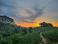 Rafters Retreat Coorg - The Riverside Homestay - B&B Srimangala