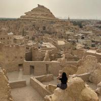 Shali Castle Apartment - Chambres d’hôtes Siwa