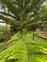 Teryet Safari Lodge - Ferienwohnung Kapchorwa