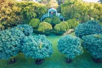 Tree Elle Retreat - Ferienwohnung Bow Bridge