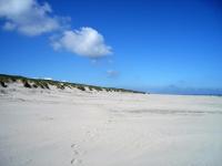 Residenz am Meer 24D Seestern24 - B&B Juist