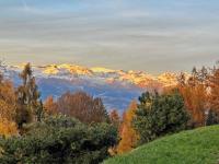 Lift Bear Lodge - 4Valleys - Swiss Alps - Bed and Breakfast Les Agettes