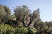 Rùstegu Dùze - Parking in Center & On-site - B&B Lerici