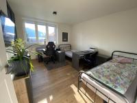 Apartment with Mountain View