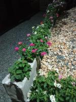 Canto dos Pássaros - B&B Pomerode