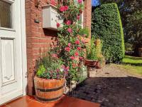 Haus am Wald - B&B Göhren-Lebbin