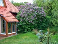 Haus am Wald - B&B Göhren-Lebbin