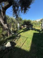 Lemon Garden Forio D'Ischia - B&B Ischia