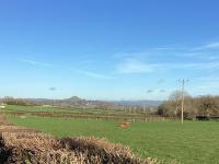 Treemon - Ferienwohnung Glastonbury