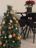 RiverNest - Ferienwohnung Kaunas