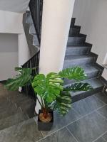 Appartement 2 Chambres Deluxe avec Balcon