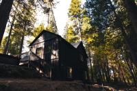 Inside Yosemite Forest Cabin w Hot Tub & AC - B&B Wawona