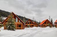 Charming Rustic Cabin Perfect for Groups - B&B Golden