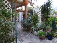 Apartament - Lisa - B&B Budva