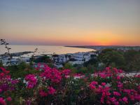 Antonella House - B&B Torre Vado