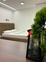 Apartman Andrijana - Bed and Breakfast Bajina Bašta