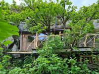 Balance Treehouse - Bed and Breakfast Drumintee
