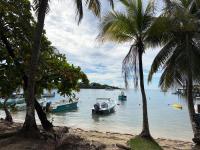 Hummingbird Stay West End 2bd 1bath - B&B West End