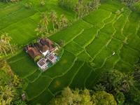 Umah Geina Ubud - Ferienwohnung Tegalalang