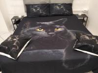 Il covo del gattonero - B&B Catania