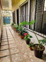 Butterfly Apartments - B&B La Fortuna