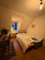 Cosy room in attic flat in the center of Zurich - Chambres d'hôtes Zurich