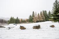 Le Cœur des Neiges - Station de ski à pied - B&B Villarembert