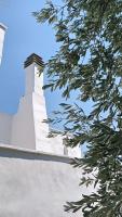Villa Delia in campagna - B&B Monopoli