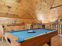 Wet Bear Paws #146 - B&B Sevierville