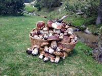 Vora Riu - B&B Esterri d'Àneu