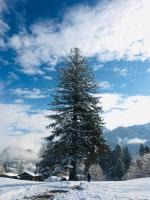 Villa al Parco - Ferienwohnung Pieve di Cadore