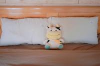 Chambre Double avec Balcon