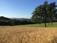 I Calleri Garden and Rooms - B&B Millesimo