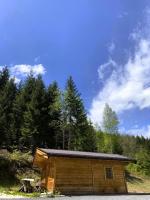 Chalet Waldesruh - Bed and Breakfast Reith bei Kitzbühel