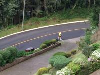 Apartamento Orsi - B&B Gramado