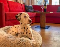 Birnbaum Chalets Grossarl - B&B Grossarl