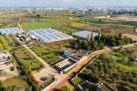Masseria Lovetere - Salento Selection - B&B Copertino