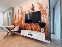 Appartamento Deluxe con 1 Camera da Letto