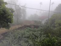 Cardamom couple saty vagamon - Bed and Breakfast Vagamon