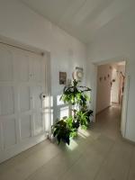 Il Terrazzo di Anna - B&B Sant'Agata sui Due Golfi